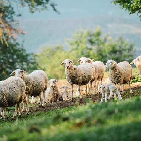 Eco Tourist Farm Ravnjak Slovenj Gradec Exterior photo
